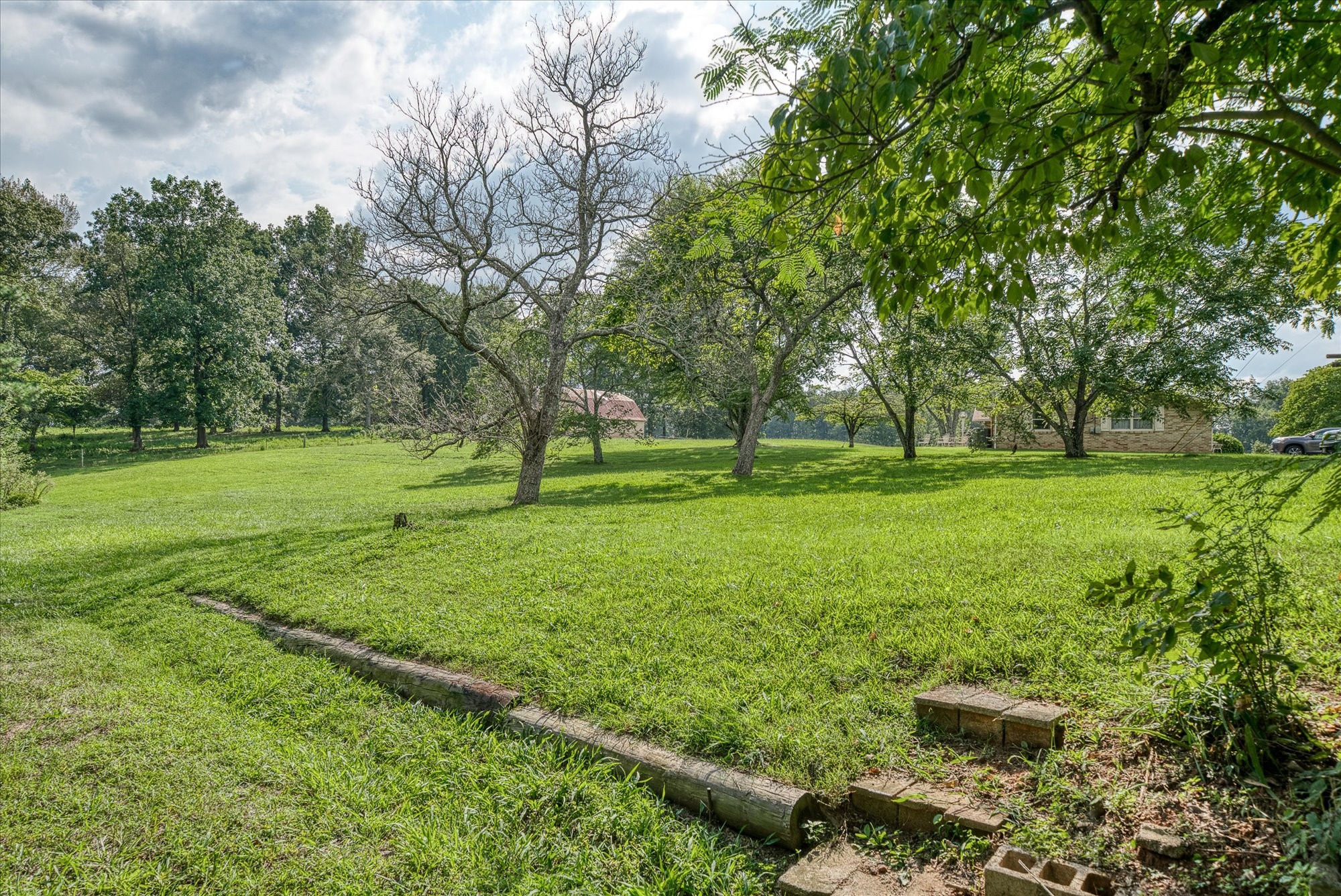 180 Frank Anderson Road Sparta, TN 38583 - Photo 36 of 45 a view of a grassy field with trees