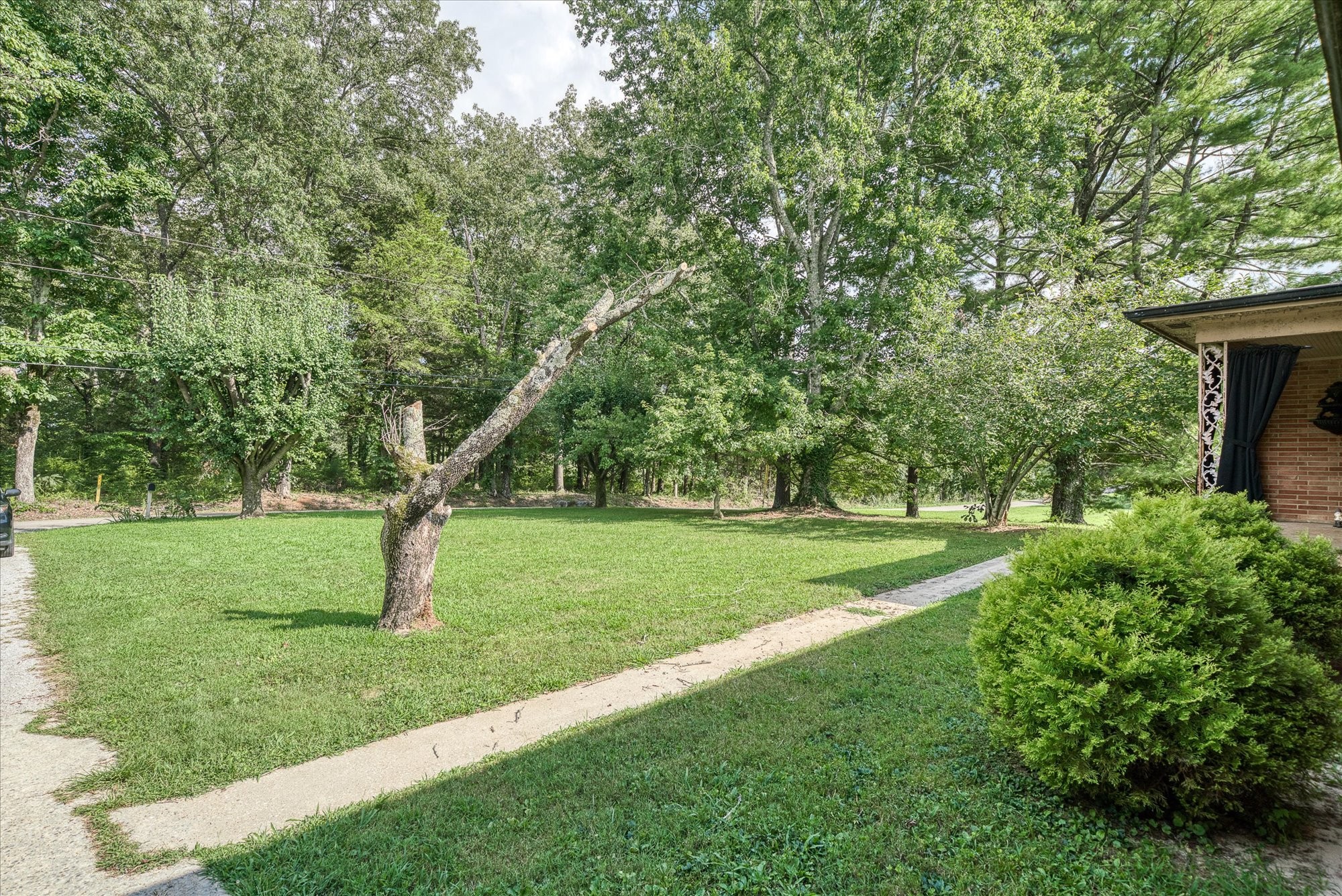 180 Frank Anderson Road Sparta, TN 38583 - Photo 40 of 45 a view of a garden with a tree