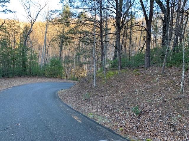 0 Chinquapin Road Lake Lure, NC 28746 - Photo 2 of 7 Gallery Image 2