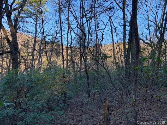 0 Chinquapin Road Lake Lure, NC 28746 - Photo 3 of 7 Gallery Image 3