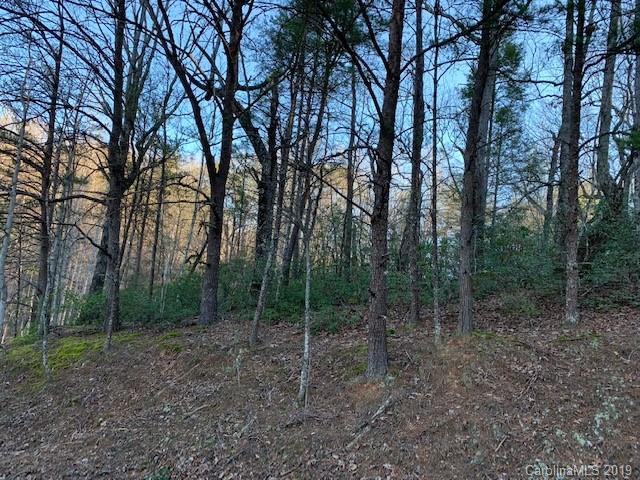 0 Chinquapin Road Lake Lure, NC 28746 - Photo 4 of 7 Gallery Image 4