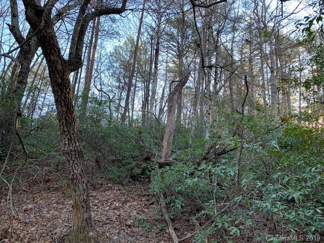 0 Chinquapin Road Lake Lure, NC 28746 - Photo 5 of 7 Gallery Image 5