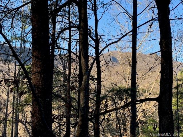 0 Chinquapin Road Lake Lure, NC 28746 - Photo 6 of 7 Gallery Image 6
