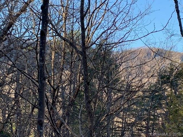 0 Chinquapin Road Lake Lure, NC 28746 - Photo 7 of 7 Gallery Image 7