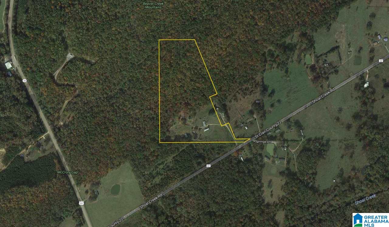 401 Shoal Creek Road Ashville, AL 35953 - Photo 11 of 11