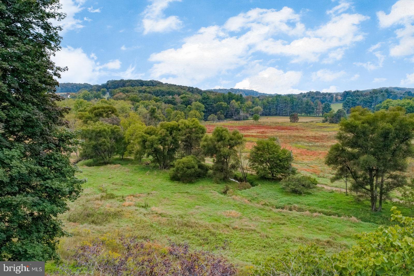 20800 Millers Mill Road Freeland, MD 21053 - Photo 45 of 52 Gallery Image 45