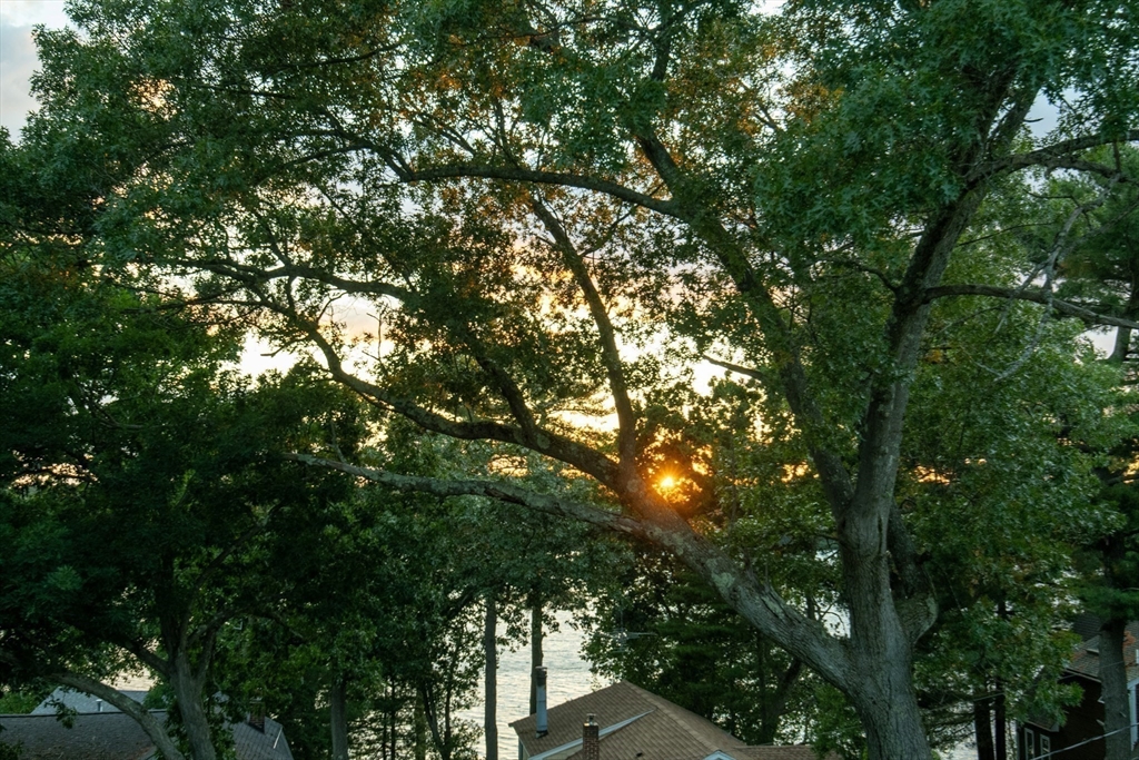 16 Chester Road North Reading, MA 01864 - Photo 38 of 39 Gallery Image 38