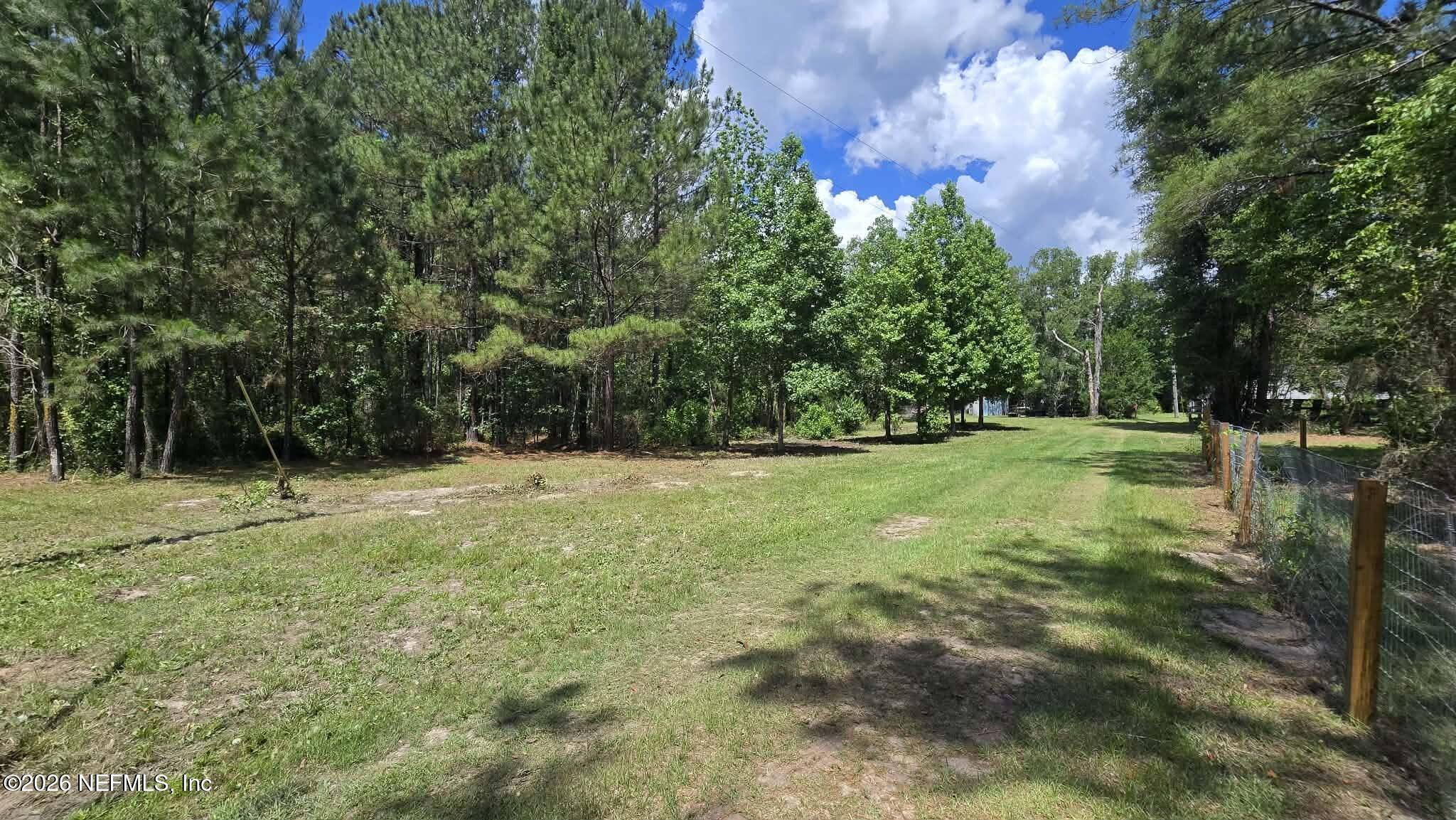 3923 Skipper Road Middleburg, FL 32068 - Photo 6 of 25 a view of a field with trees