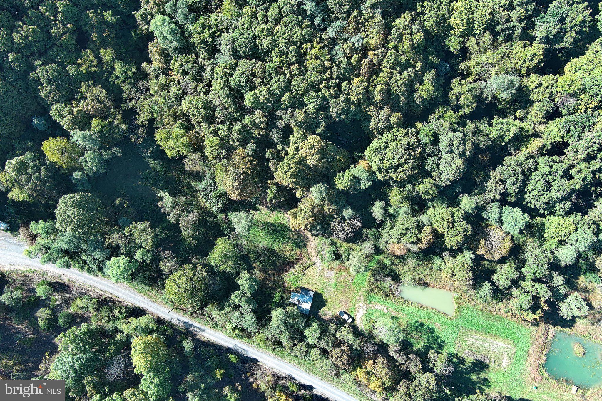 5-6 Proctor Road Old Fields, WV 26845 - Photo 44 of 44 Gallery Image 44