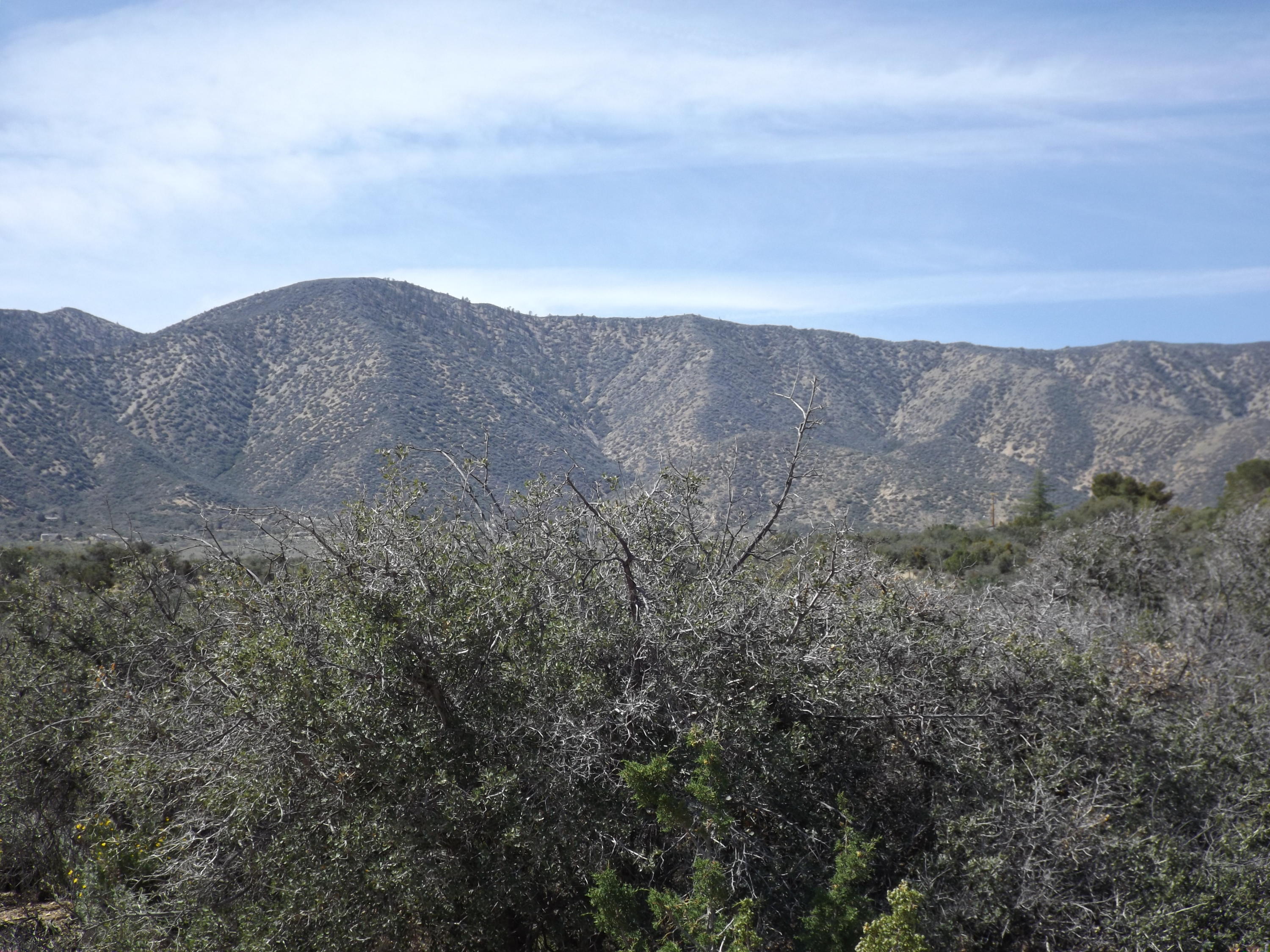 1270 Le Page Ranch Road Pearblossom, CA 93543 - Photo 2 of 10 DSCF1101.JPG