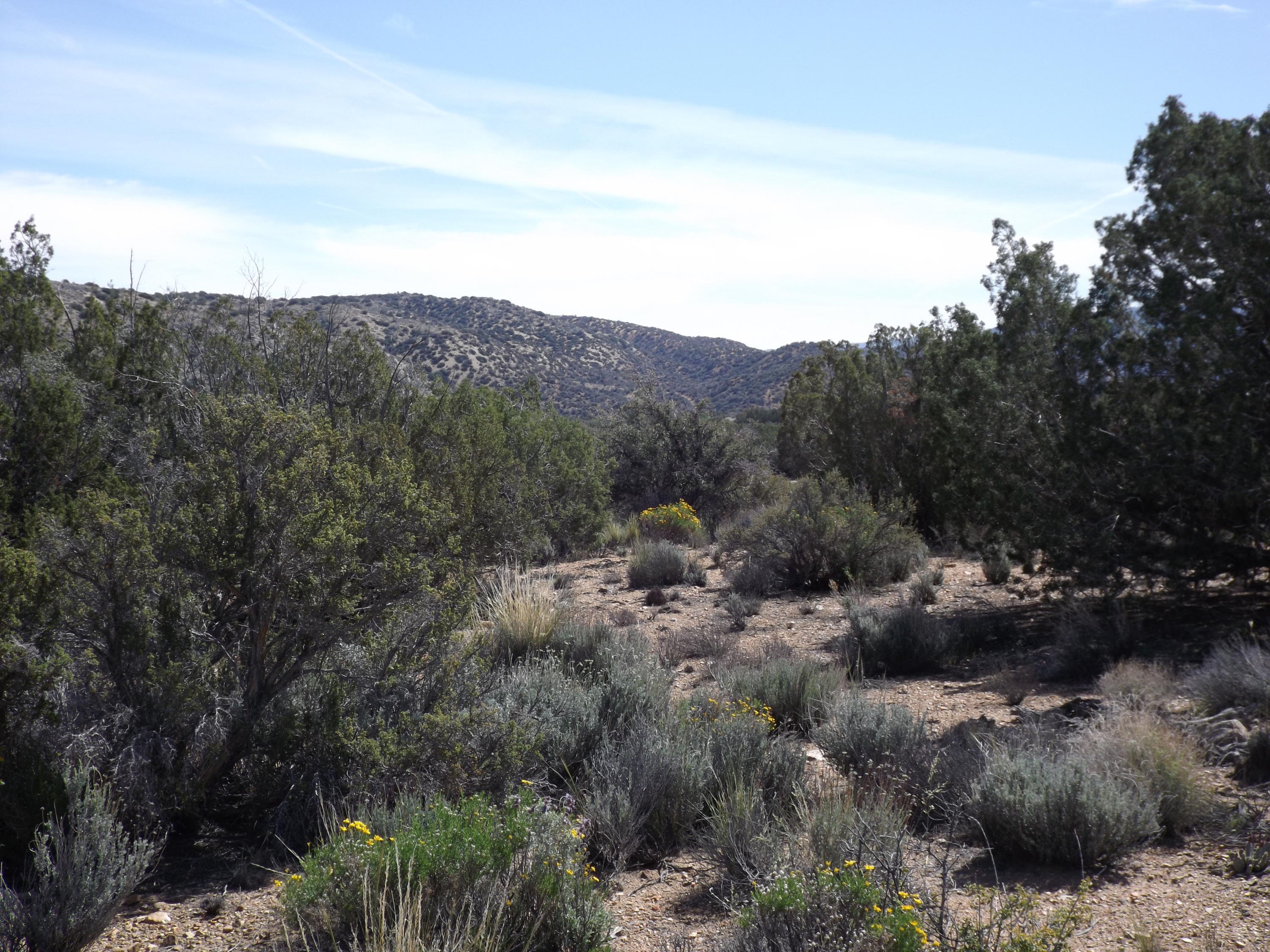 1270 Le Page Ranch Road Pearblossom, CA 93543 - Photo 3 of 10 DSCF1103.JPG