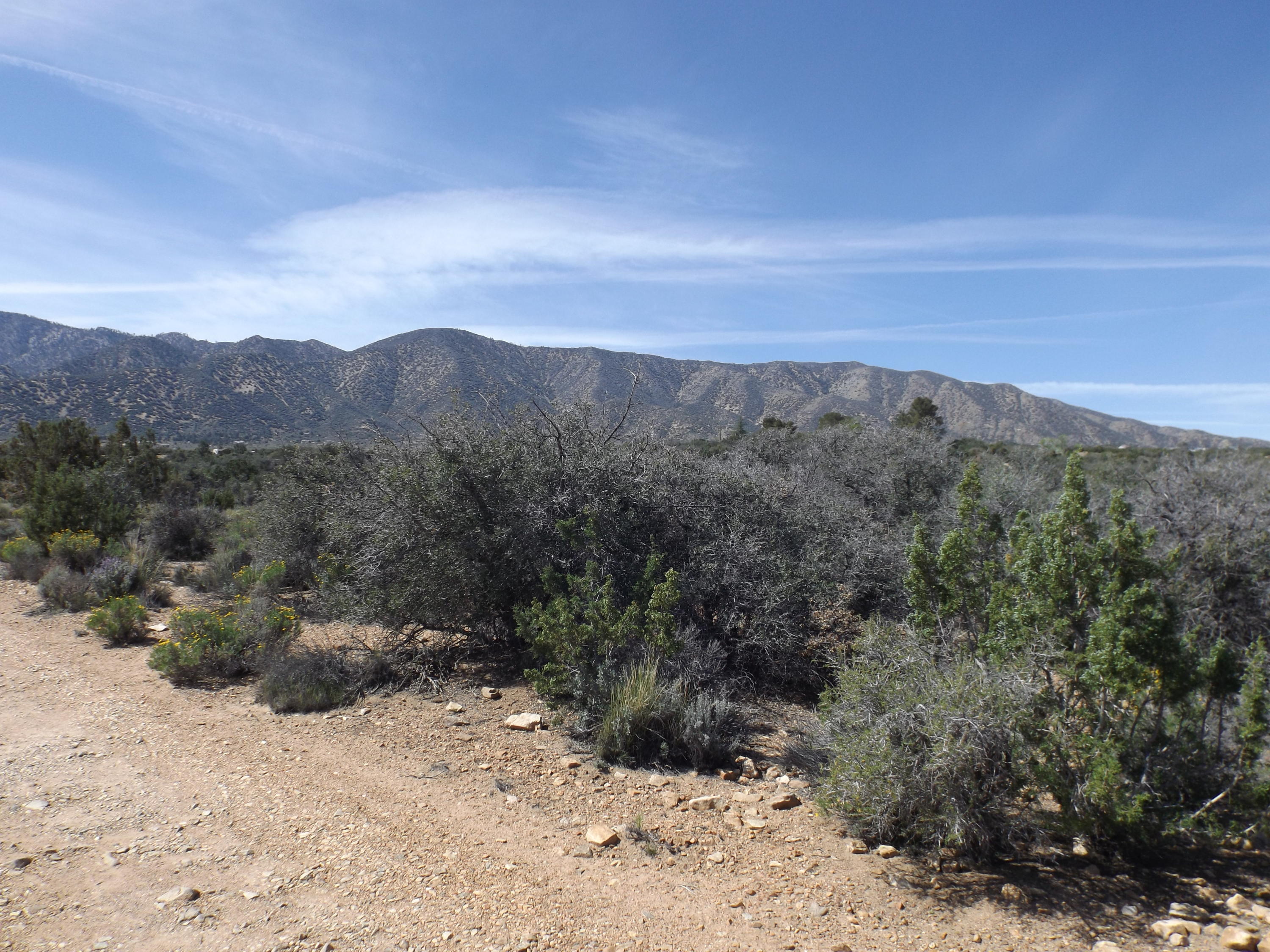 1270 Le Page Ranch Road Pearblossom, CA 93543 - Photo 5 of 10 DSCF1100.JPG