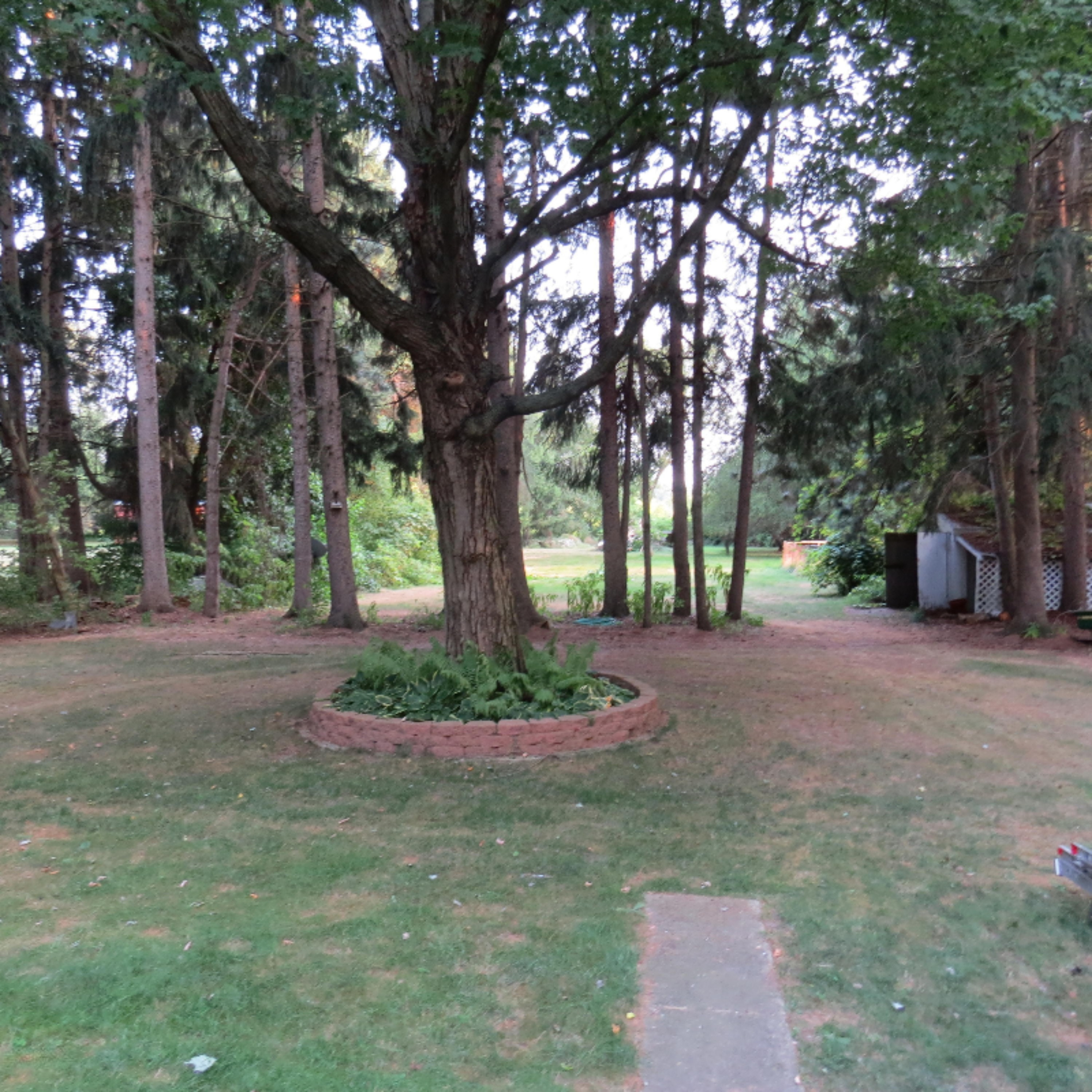 3165 Harper Road Mason, MI 48854 - Photo 30 of 32 IMG_4293