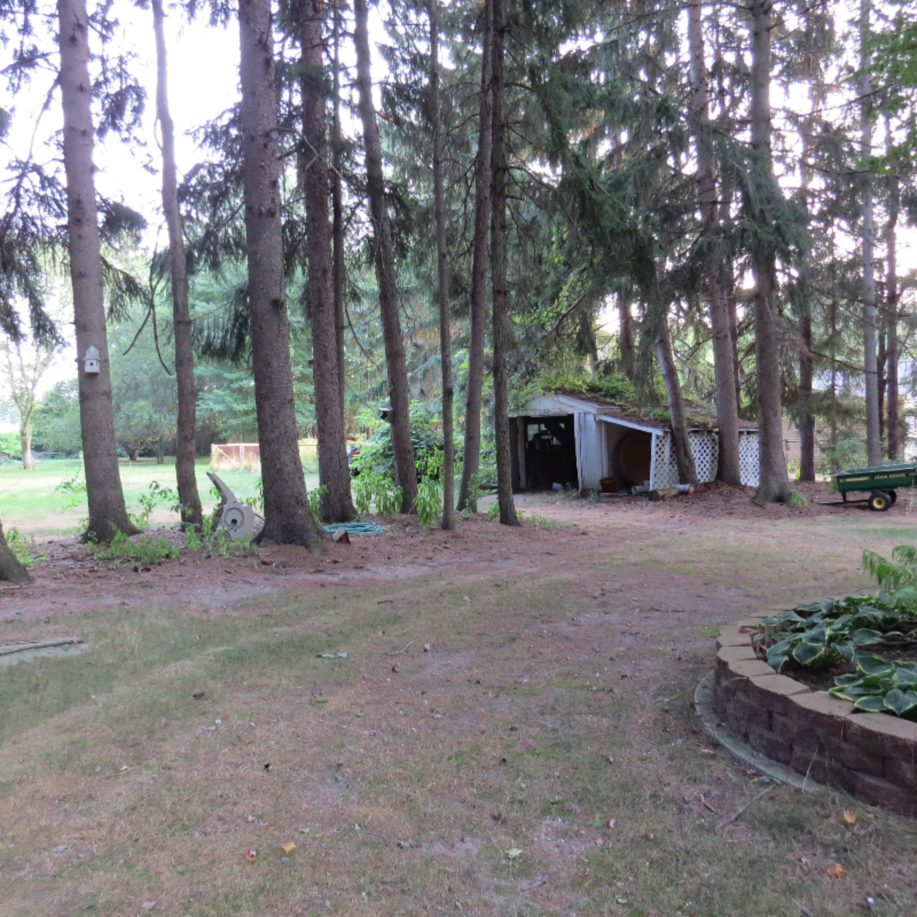 3165 Harper Road Mason, MI 48854 - Photo 31 of 32 IMG_4296