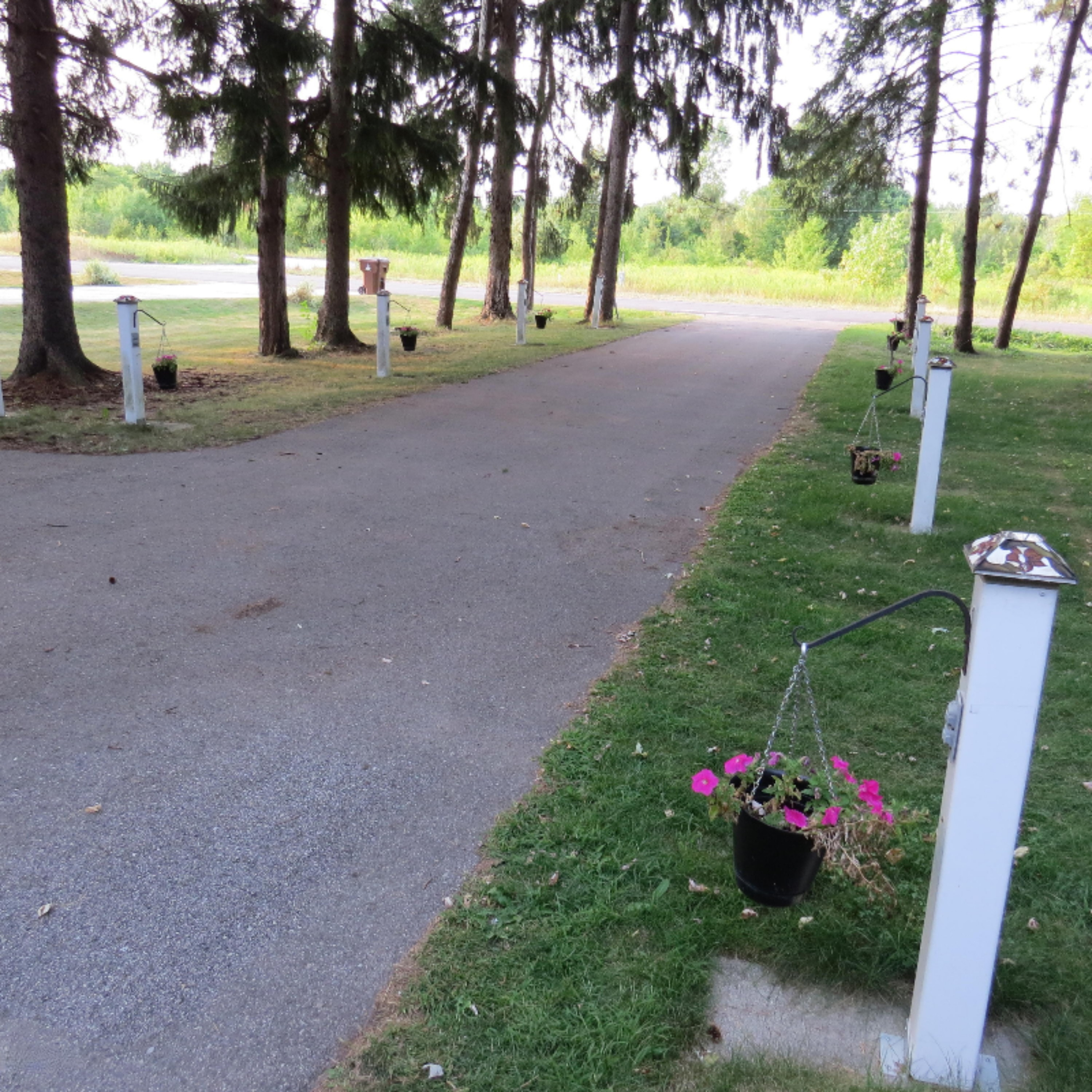 3165 Harper Road Mason, MI 48854 - Photo 7 of 32 IMG_4286