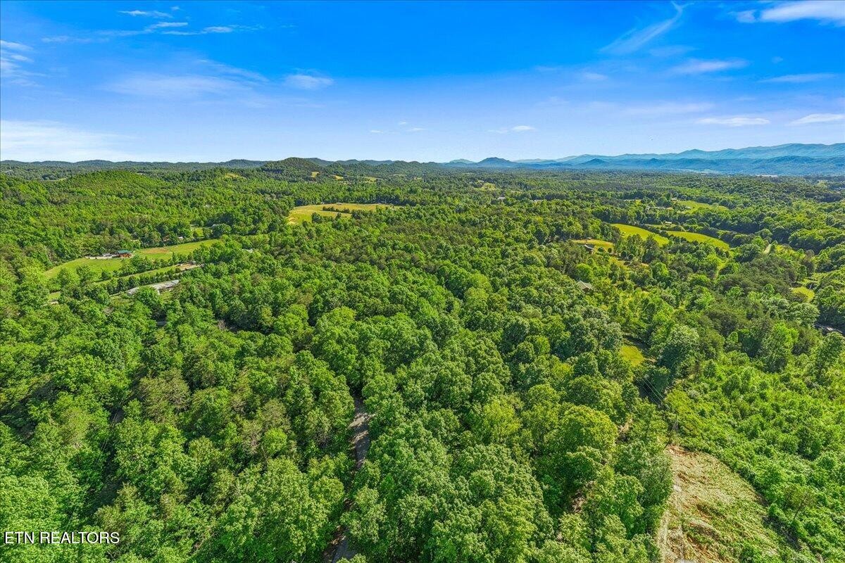0 Shaddon Road Tellico Plains, TN 37385 - Photo 14 of 17