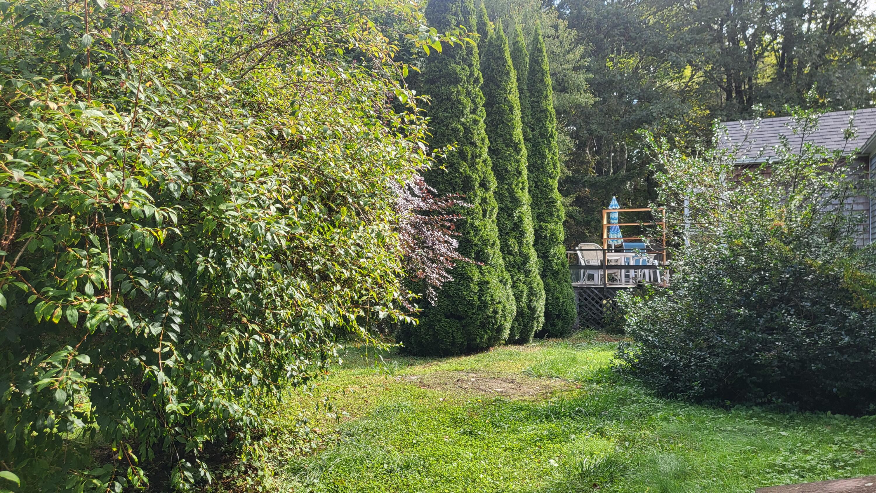 175 Ridge Road St. George, ME 04860 - Photo 3 of 25 20250926_105535