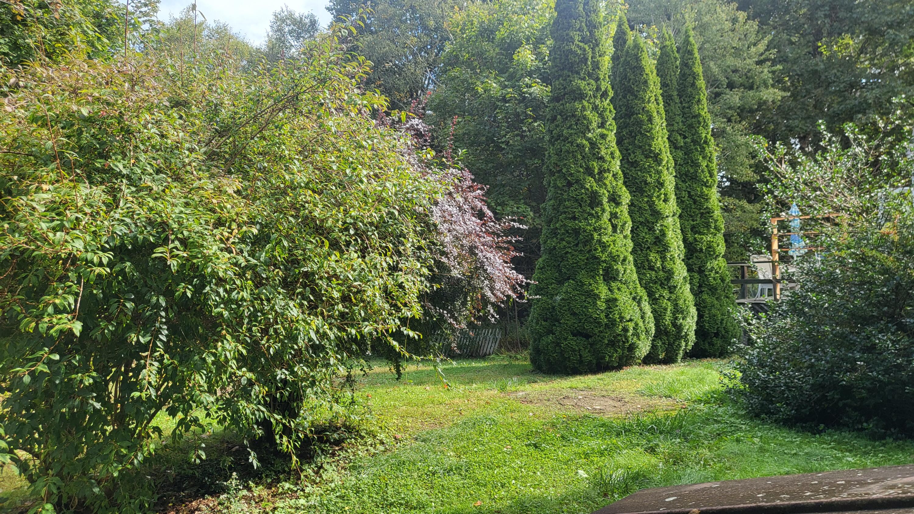 175 Ridge Road St. George, ME 04860 - Photo 4 of 25 20250926_105529