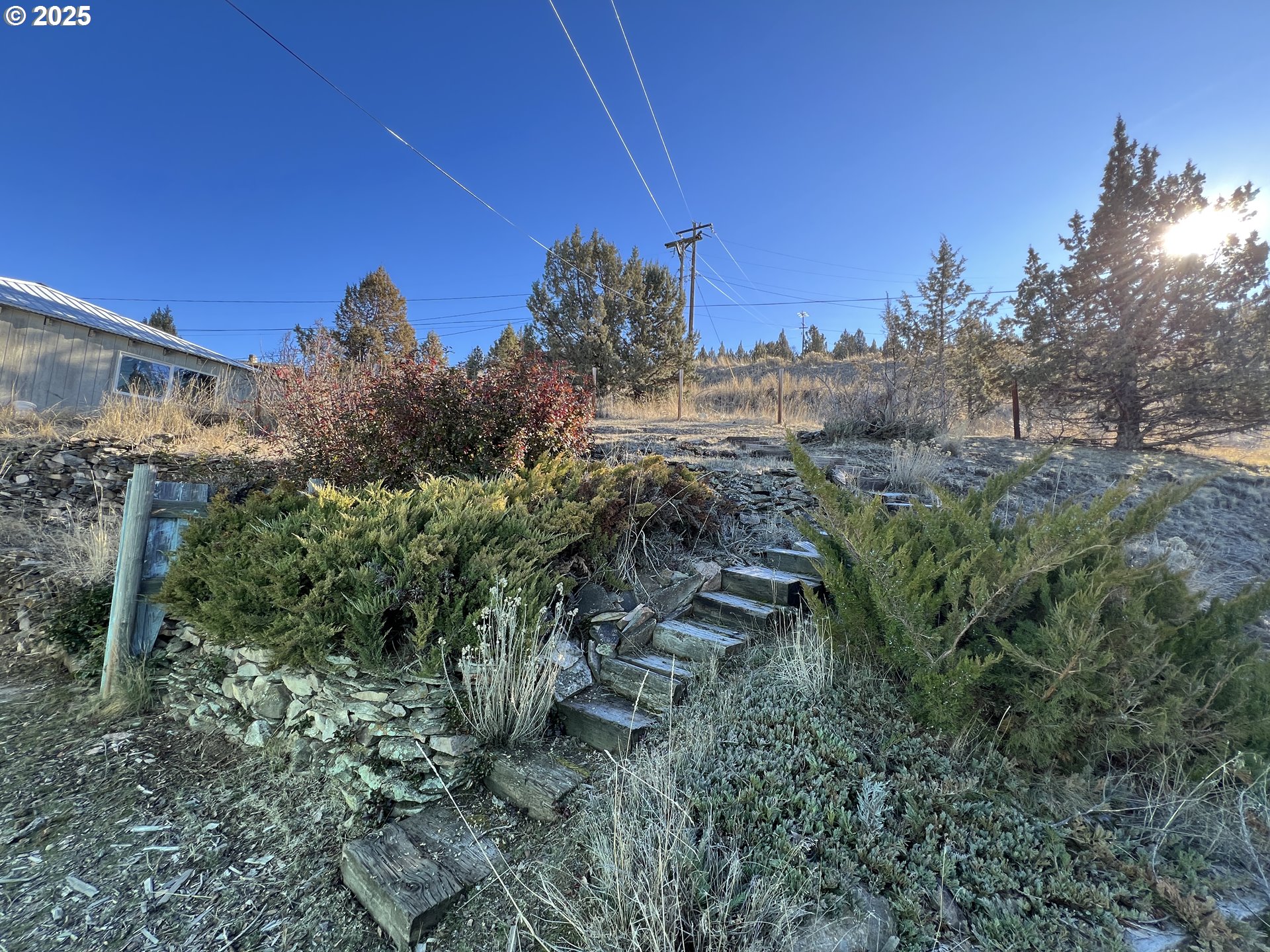 304 Hillcrest Drive John Day, OR 97845 - Photo 38 of 38 a view of a yard with plants and a bench
