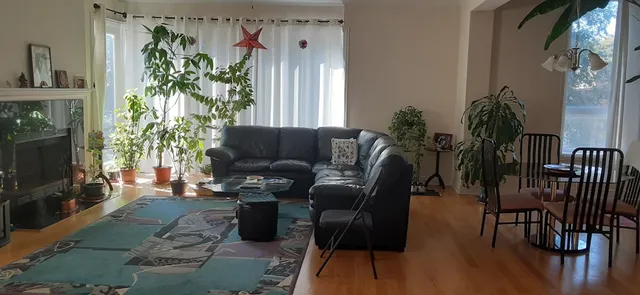 a living room with furniture fireplace and potted plant