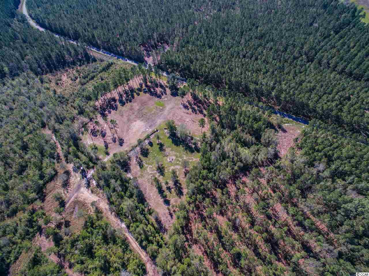 Lot B Alma Road Nichols, SC 29581 - Photo 14 of 21 Gallery Image 14