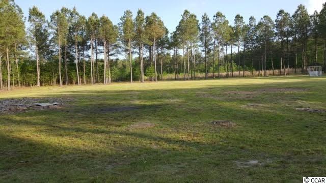 Lot B Alma Road Nichols, SC 29581 - Photo 15 of 21 Gallery Image 15