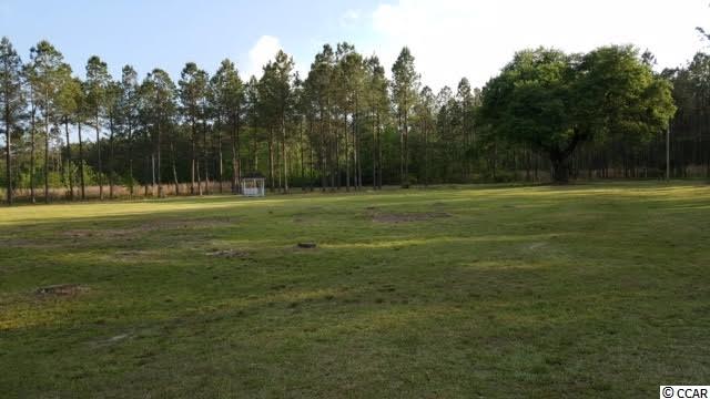 Lot B Alma Road Nichols, SC 29581 - Photo 17 of 21 Gallery Image 17