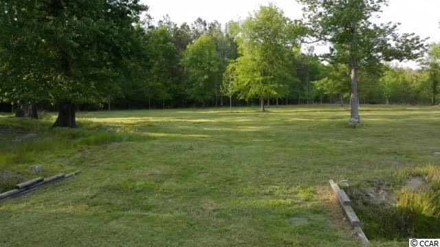 Lot B Alma Road Nichols, SC 29581 - Photo 18 of 21 Gallery Image 18