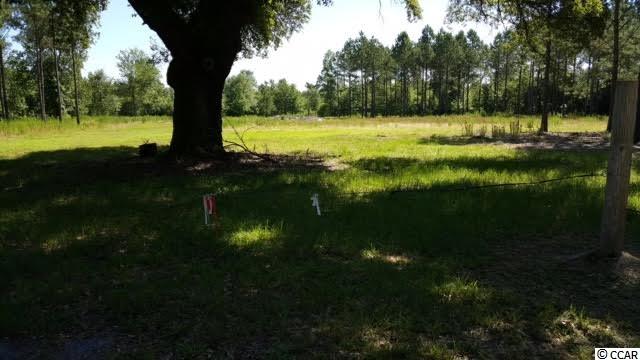 Lot B Alma Road Nichols, SC 29581 - Photo 21 of 21 Gallery Image 21