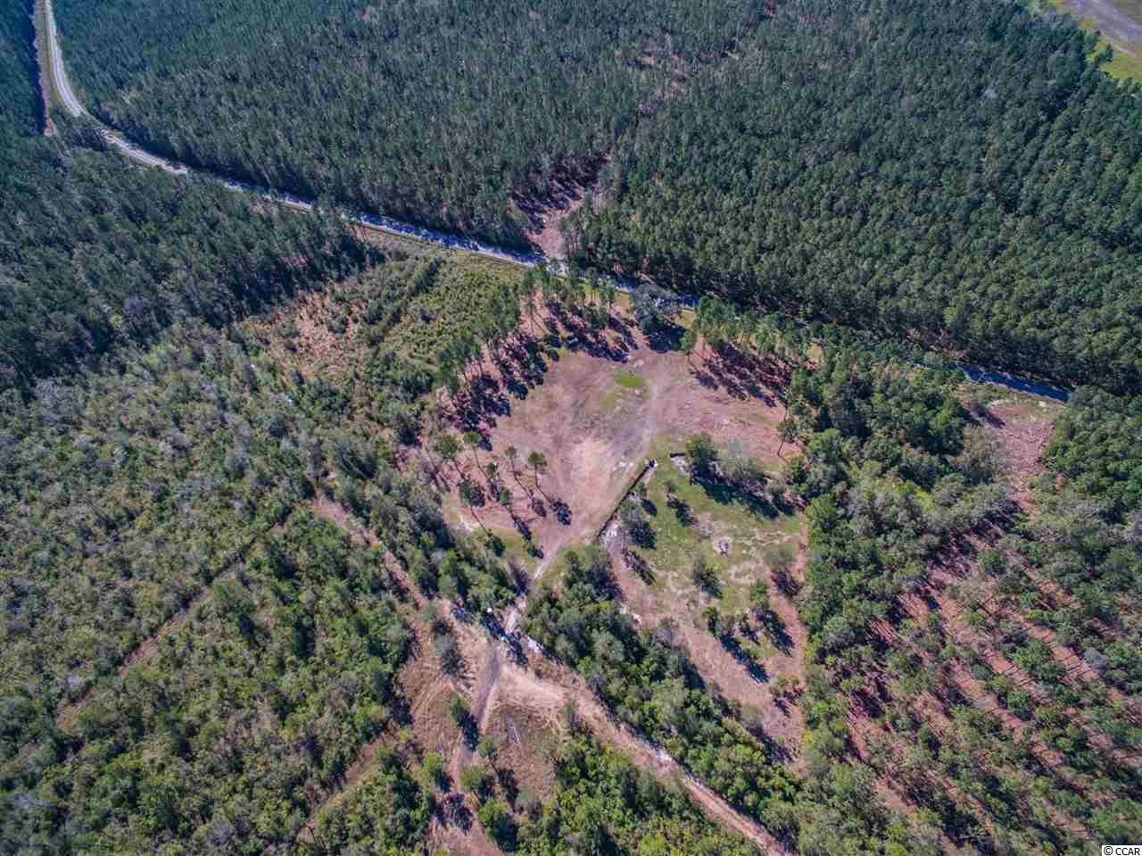 Lot B Alma Road Nichols, SC 29581 - Photo 7 of 21 Gallery Image 7