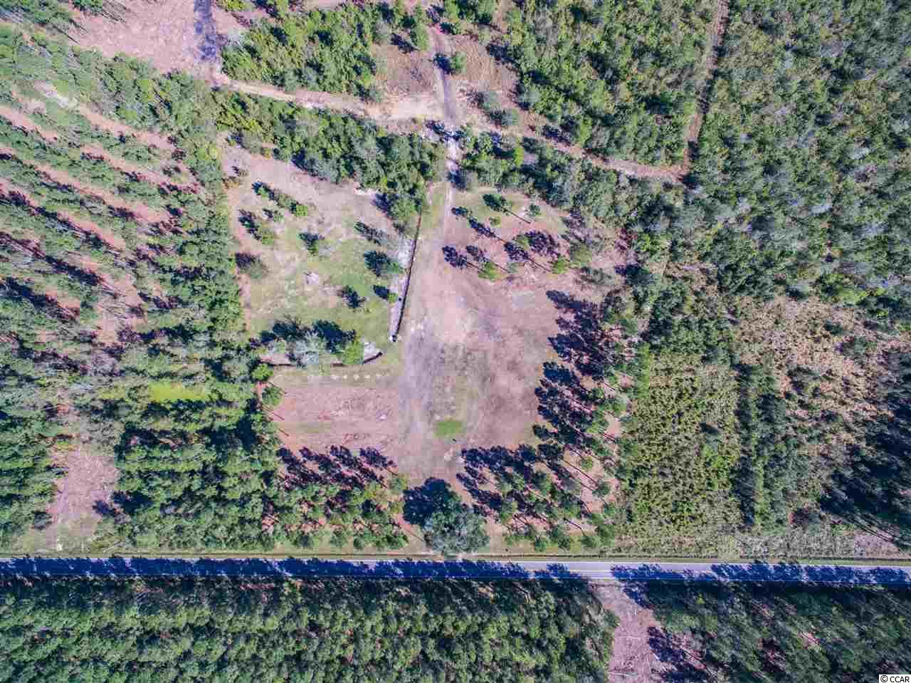 Lot B Alma Road Nichols, SC 29581 - Photo 8 of 21 Gallery Image 8
