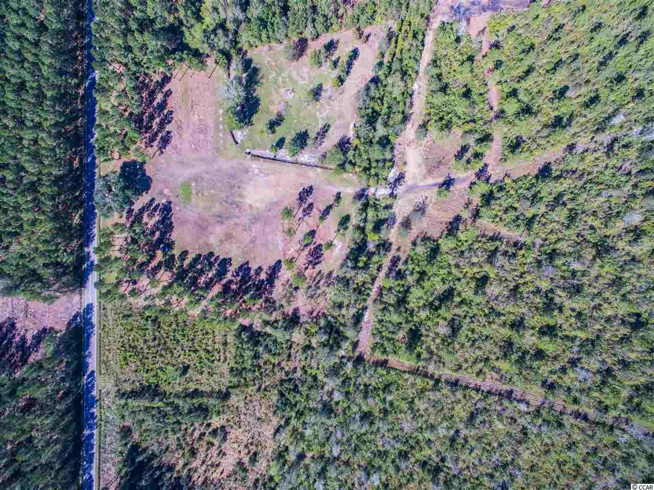 Lot B Alma Road Nichols, SC 29581 - Photo 9 of 21 Gallery Image 9