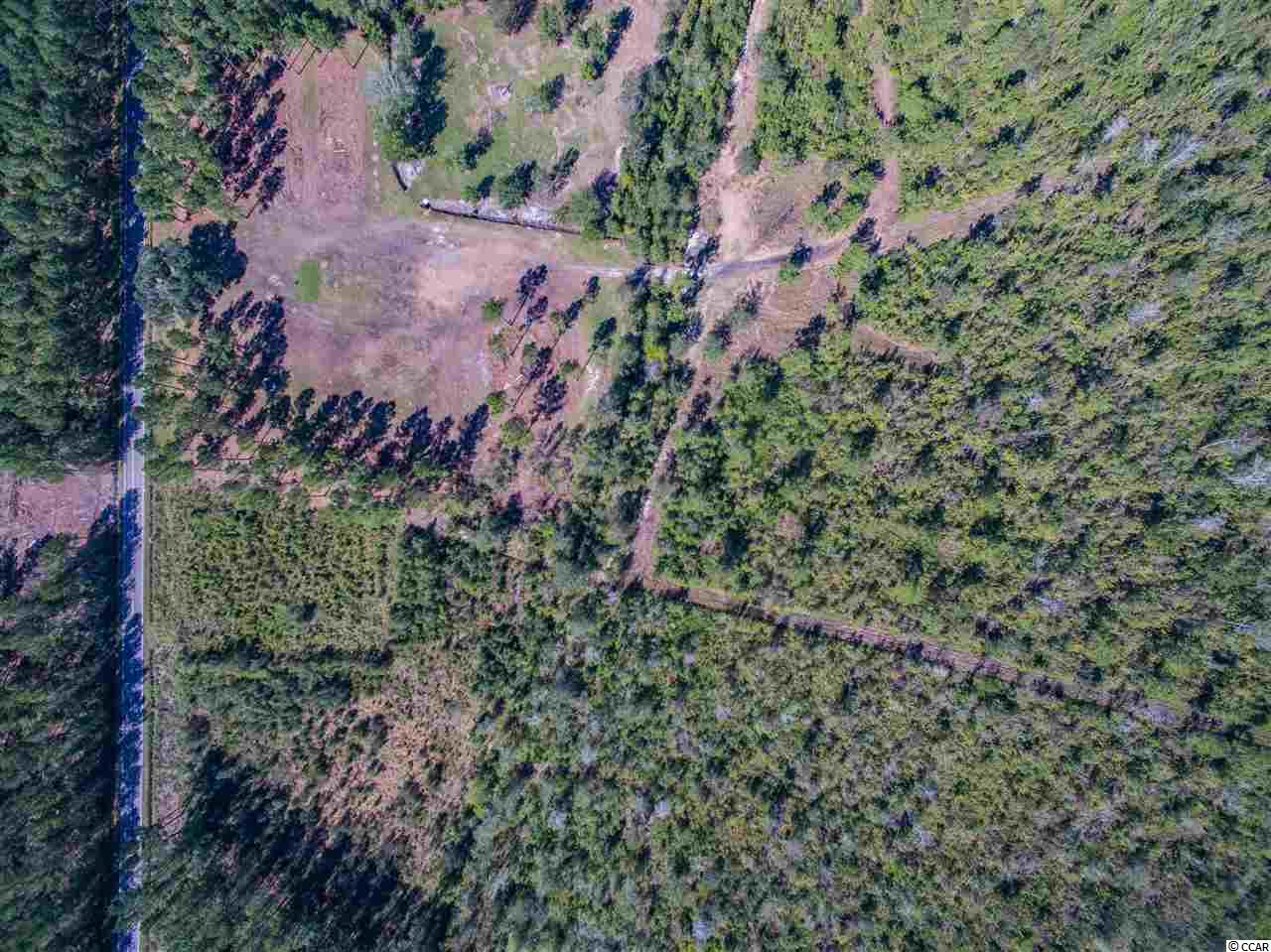 Lot B Alma Road Nichols, SC 29581 - Photo 10 of 21 Gallery Image 10