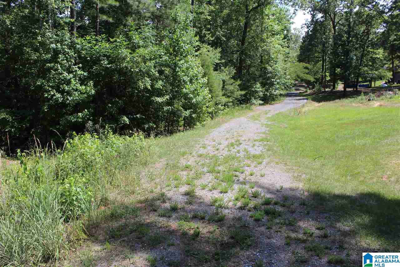 Christopher Cove Sterrett, AL 35147 - Photo 8 of 10