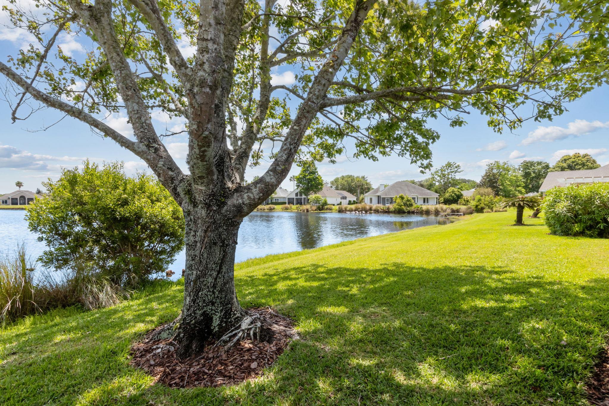 908 Birdie Way St. Augustine, FL 32080 - Photo 31 of 68