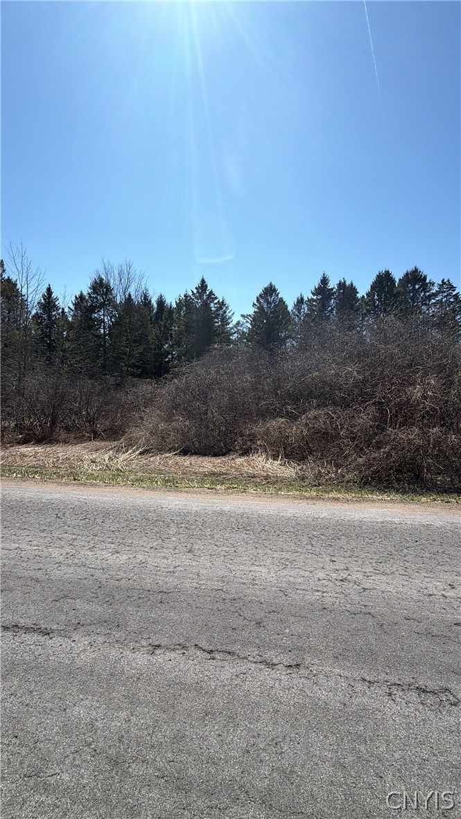 0 Fort Leazier Road Mexico, NY 13114 - Photo 2 of 5