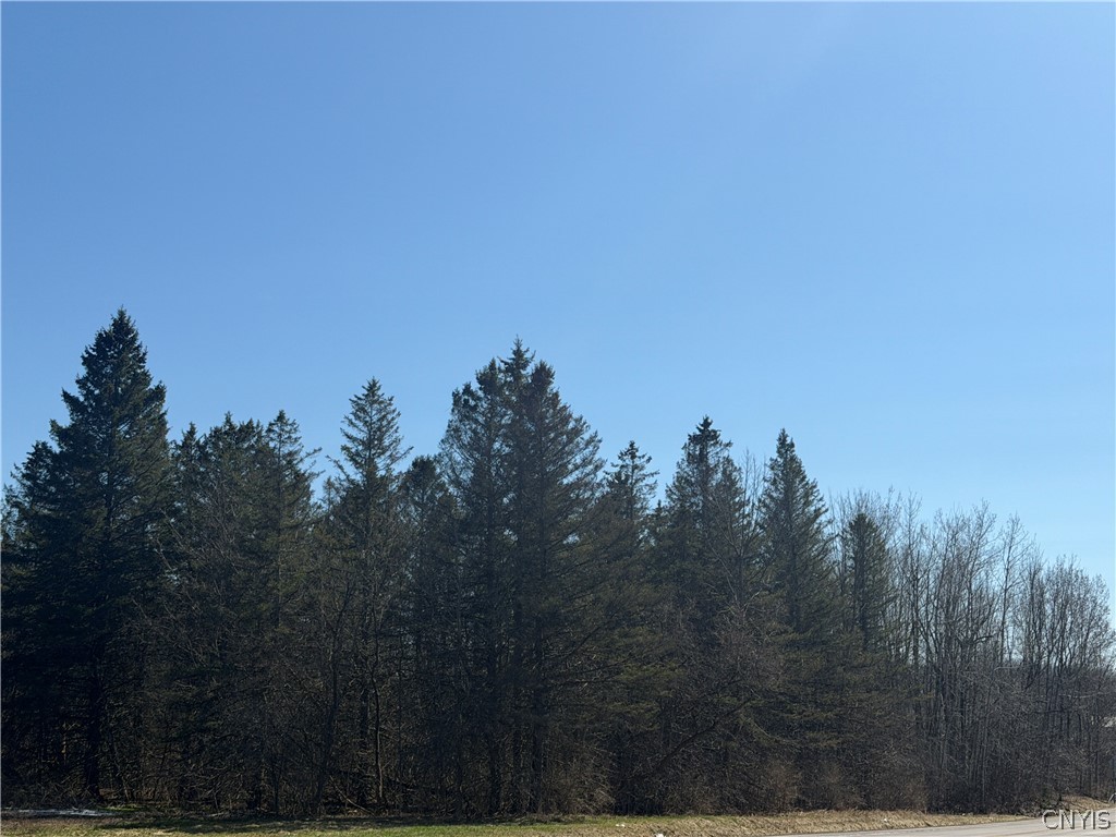 0 Fort Leazier Road Mexico, NY 13114 - Photo 3 of 5