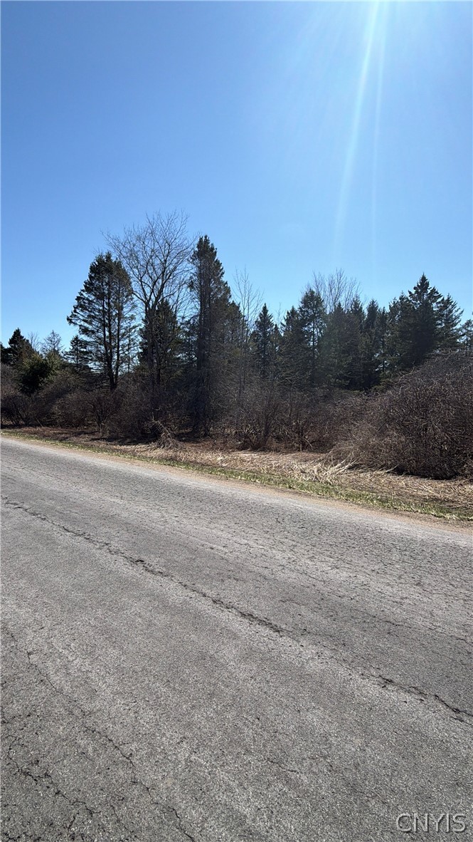 0 Fort Leazier Road Mexico, NY 13114 - Photo 4 of 5