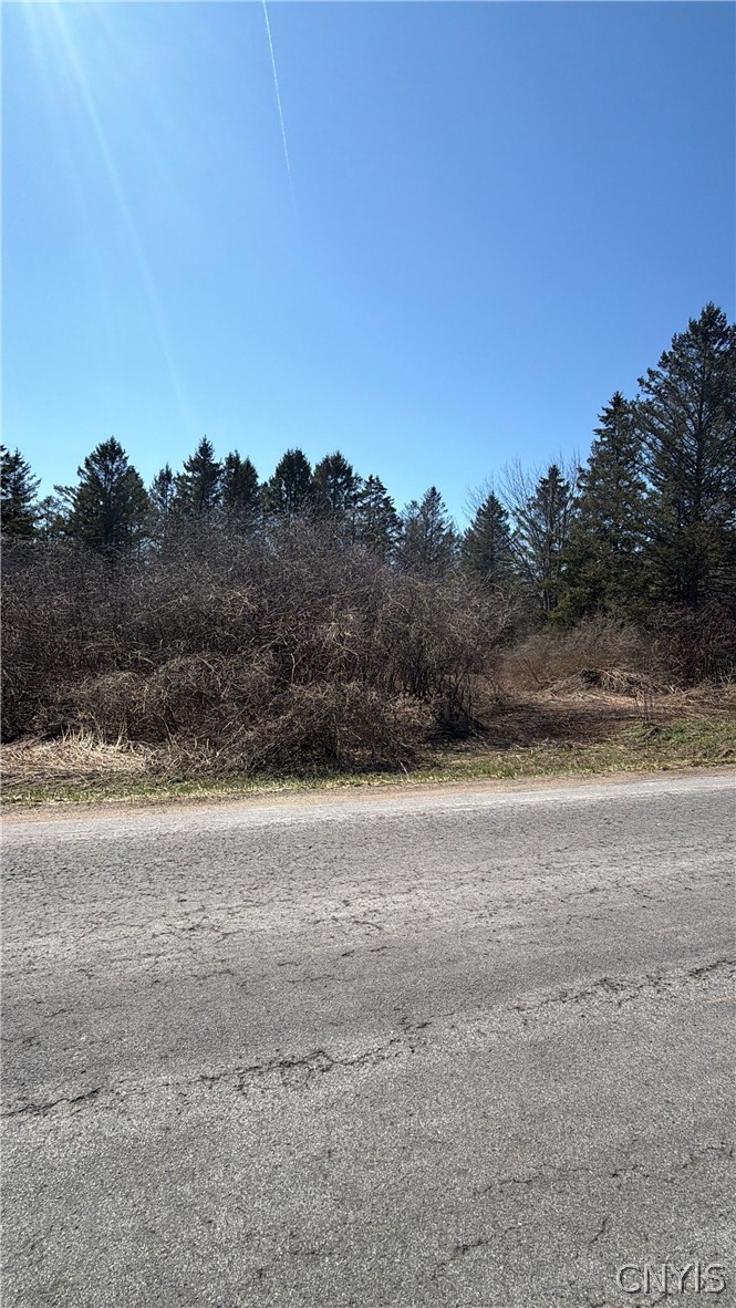 0 Fort Leazier Road Mexico, NY 13114 - Photo 5 of 5