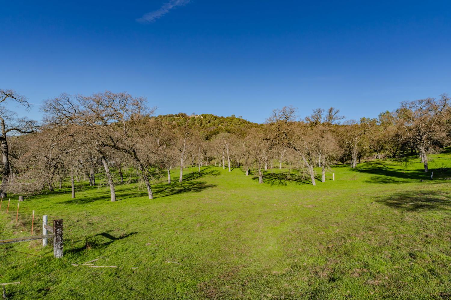 4758 High Country Road San Andreas, CA 95249 - Photo 11 of 69