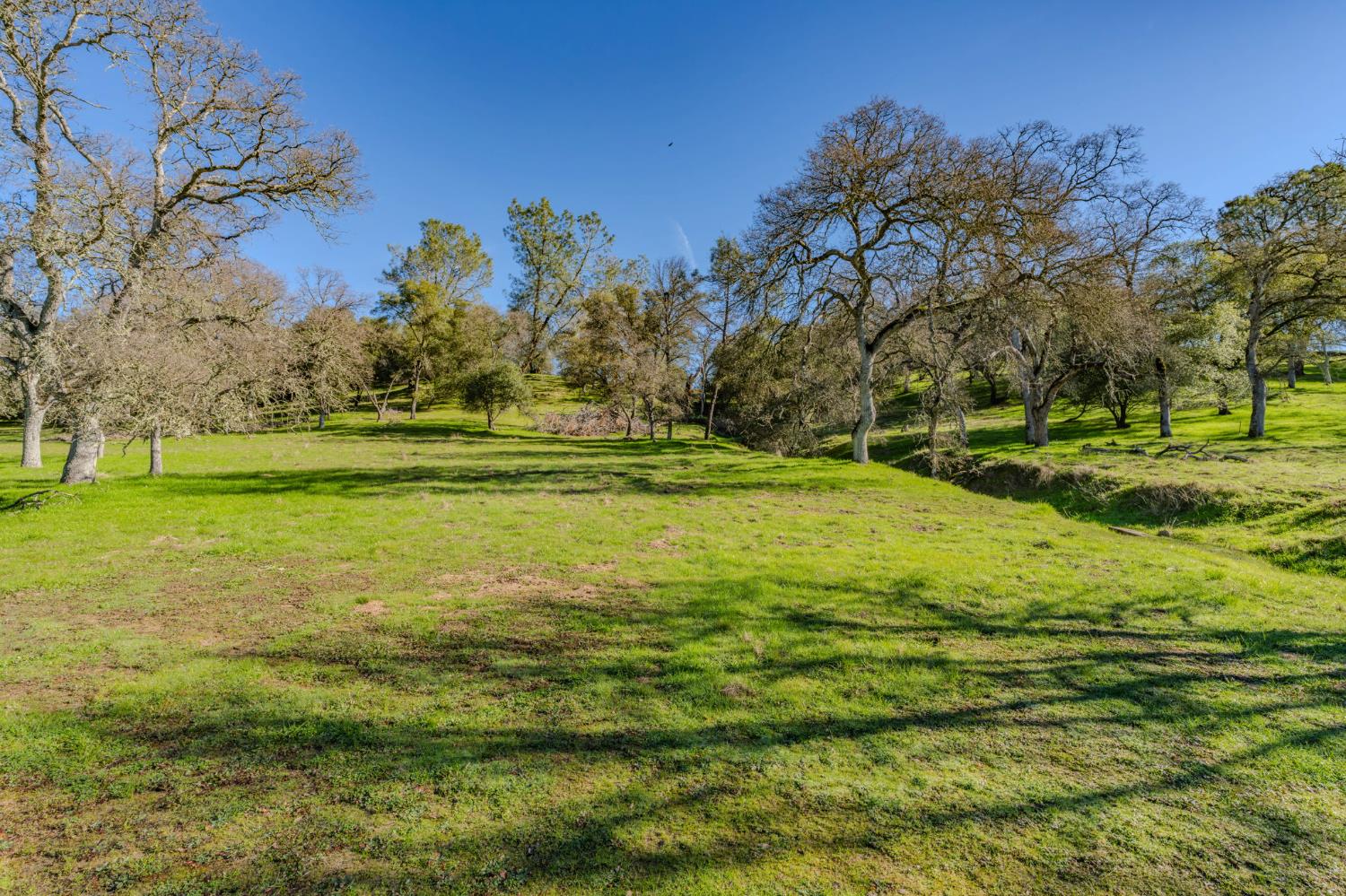 4758 High Country Road San Andreas, CA 95249 - Photo 3 of 69