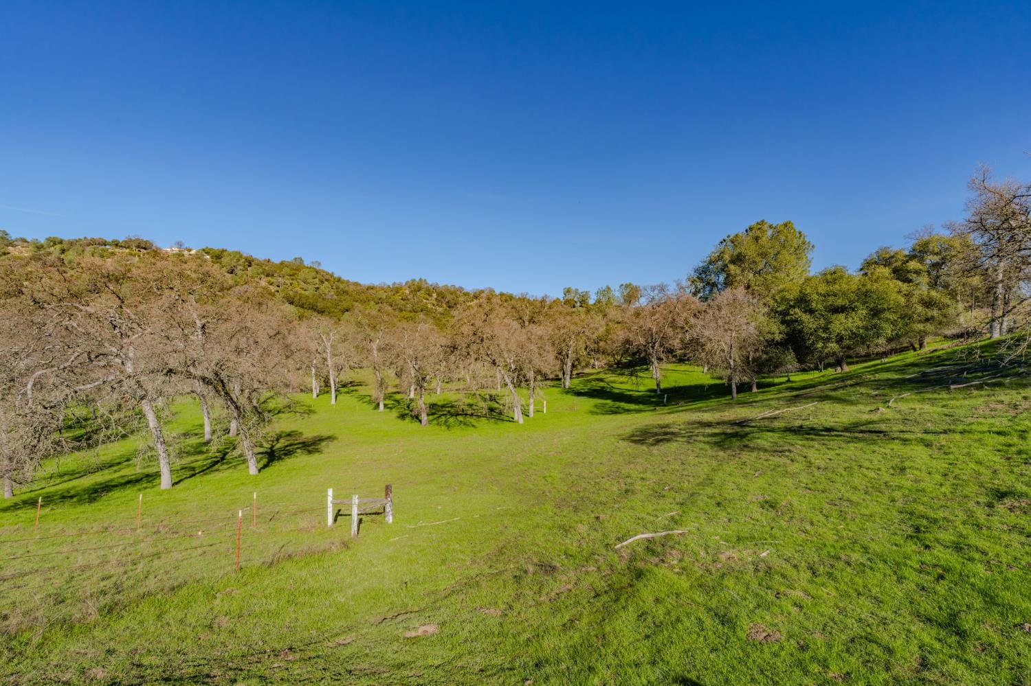 4758 High Country Road San Andreas, CA 95249 - Photo 49 of 69
