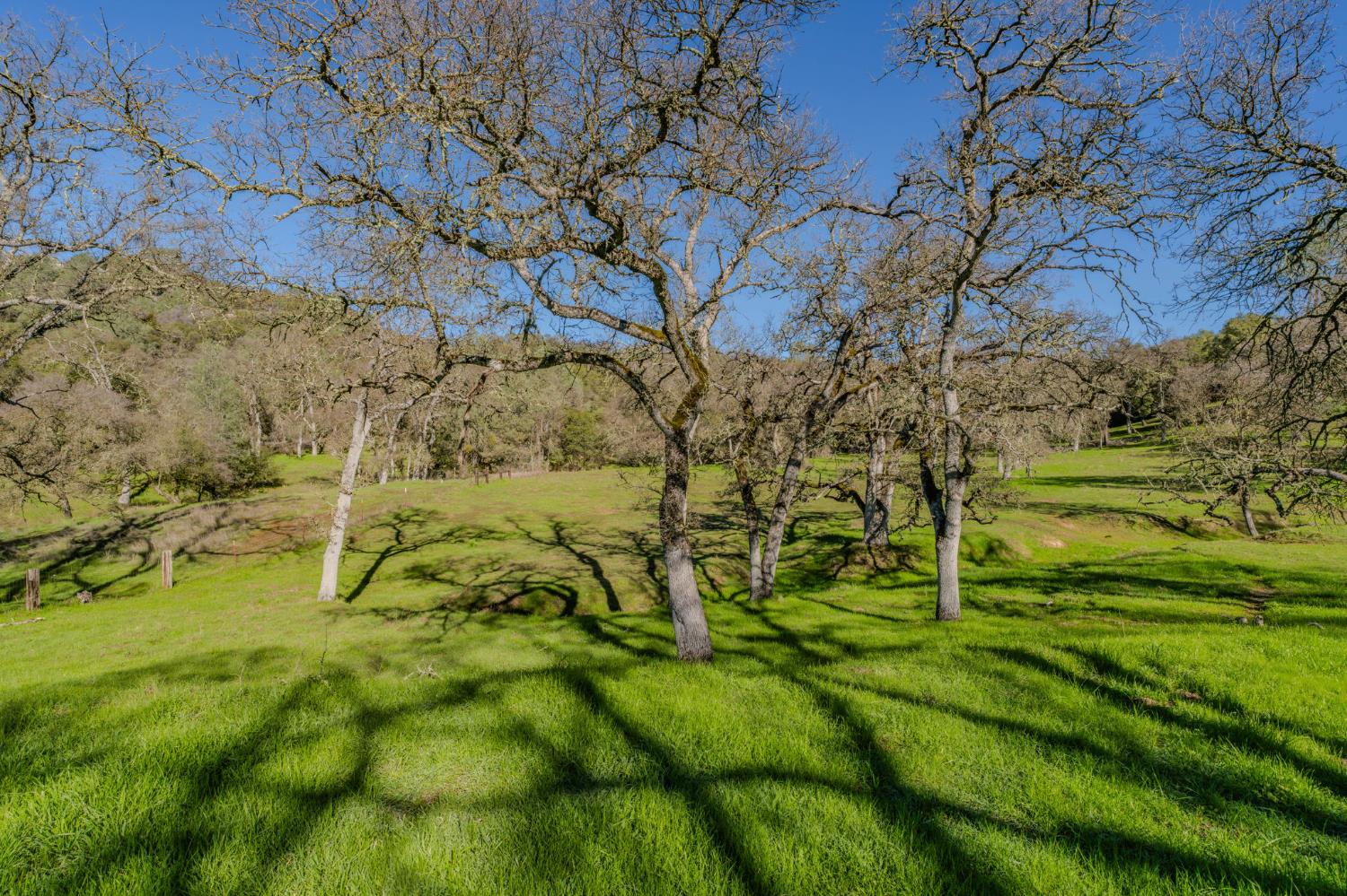 4758 High Country Road San Andreas, CA 95249 - Photo 51 of 69