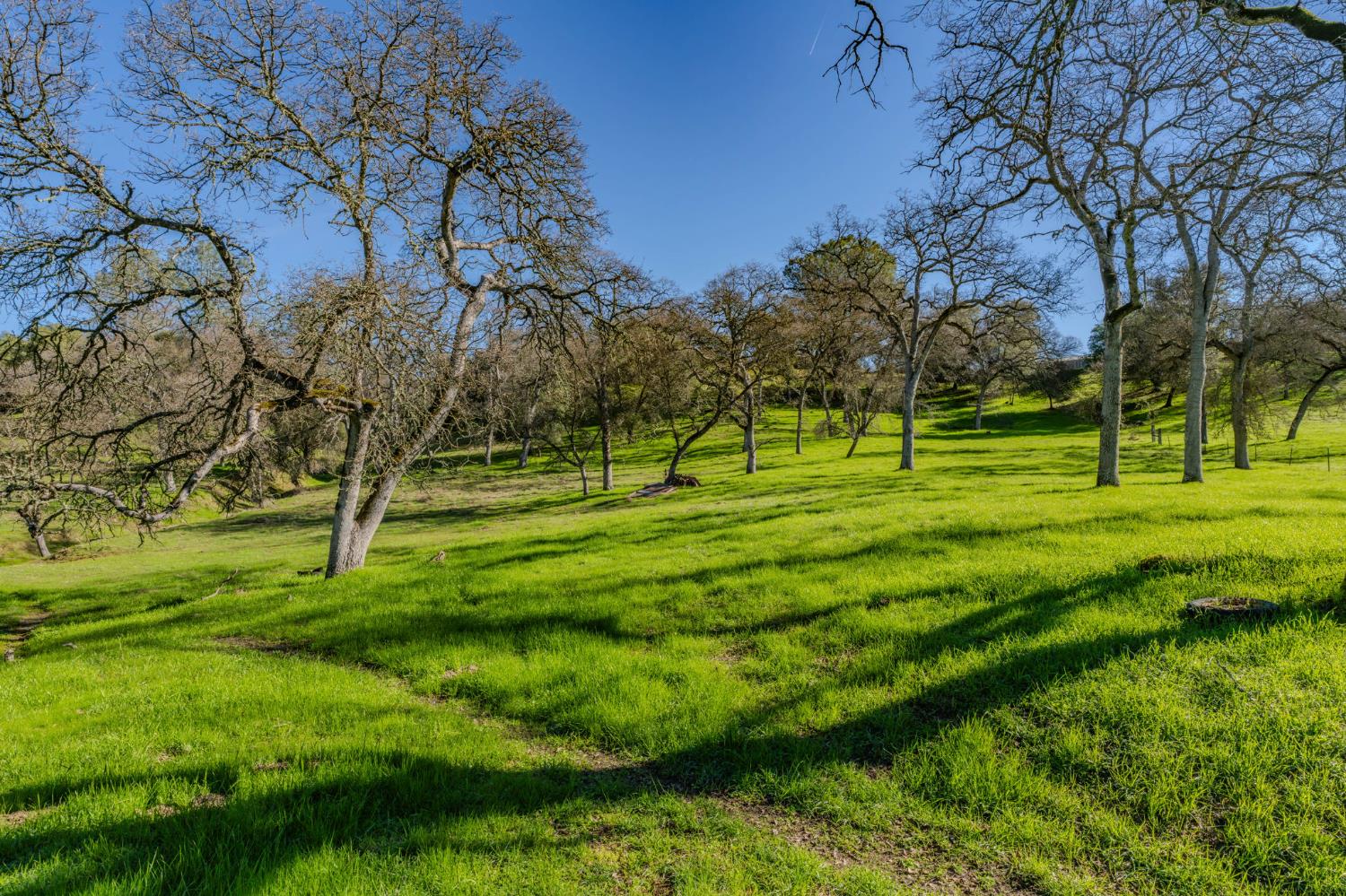 4758 High Country Road San Andreas, CA 95249 - Photo 52 of 69