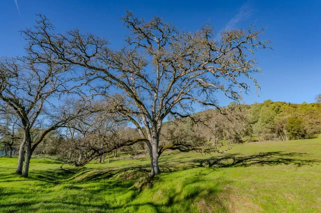 $480,000 | 4758 High Country Road, San Andreas, CA 95249