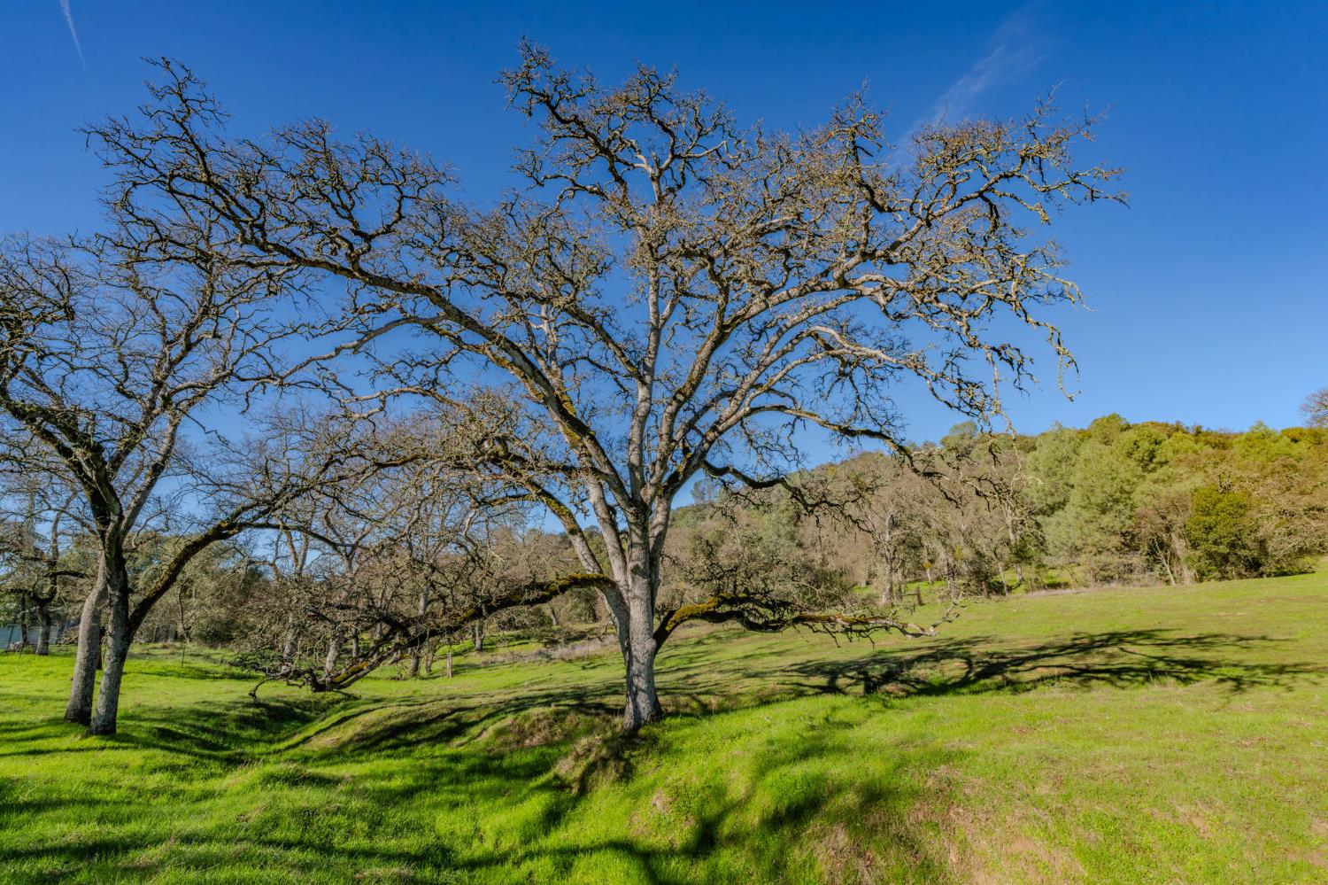 4758 High Country Road San Andreas, CA 95249 - Photo 53 of 69