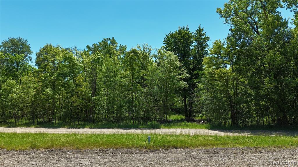 0 Williams Road Gaines, MI 48436 - Photo 16 of 28