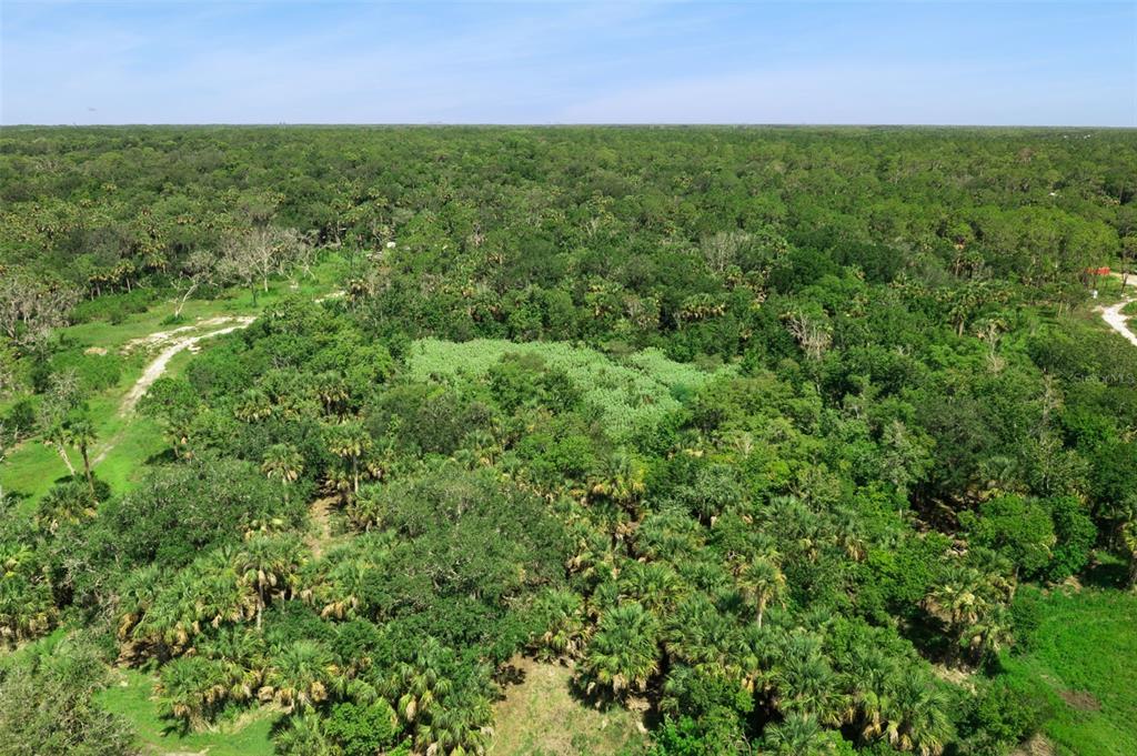 Canvasback Trail Geneva, FL 32732 - Photo 8 of 16
