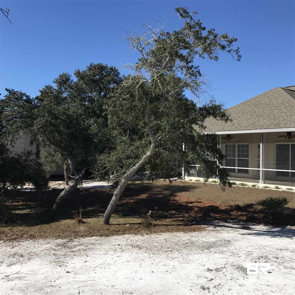 30840 West Ono North Loop Orange Beach, AL 36561 - Photo 46 of 49 Large Backyard