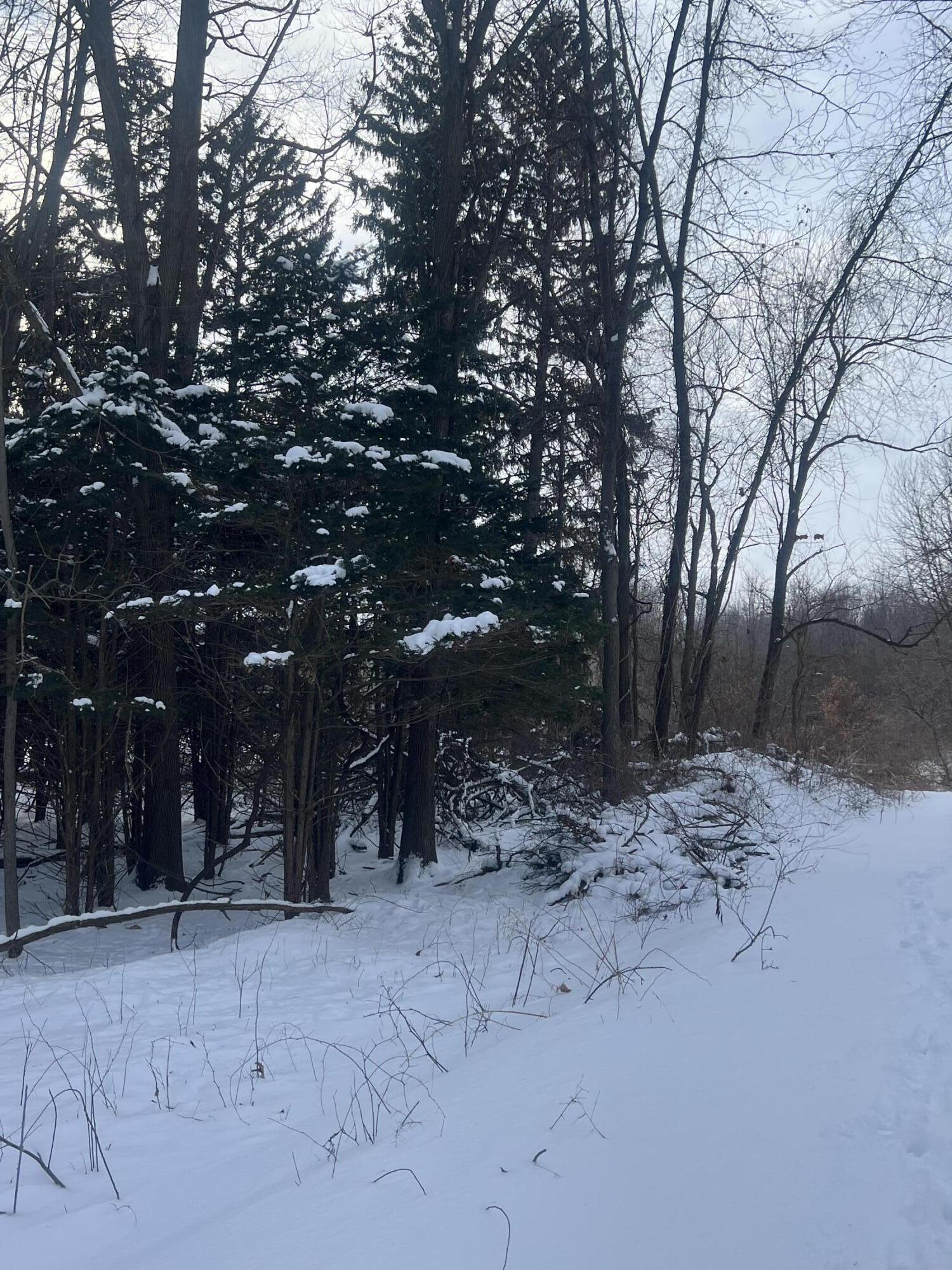 0 28 Mile Road Albion, MI 49224 - Photo 3 of 9 IMG_3188